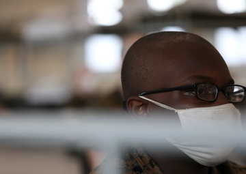 Fox Company Black Friday