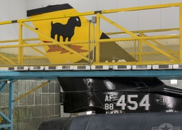 8th AMU the black sheep