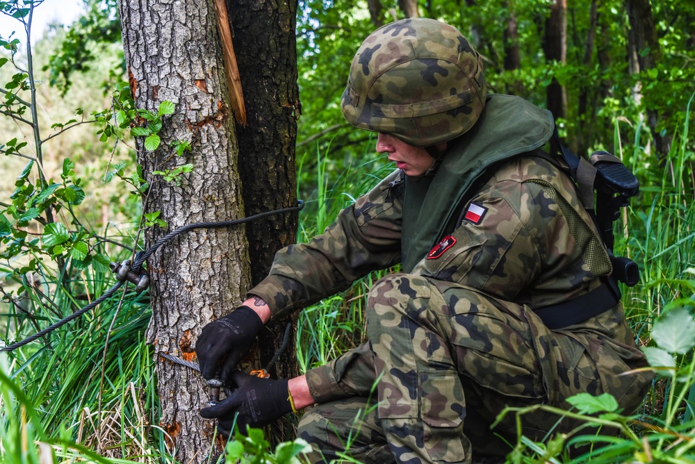 Defender Europe 20 Plus - Polish Bridge Training