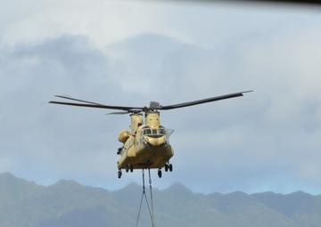 25th CAB Air Assault