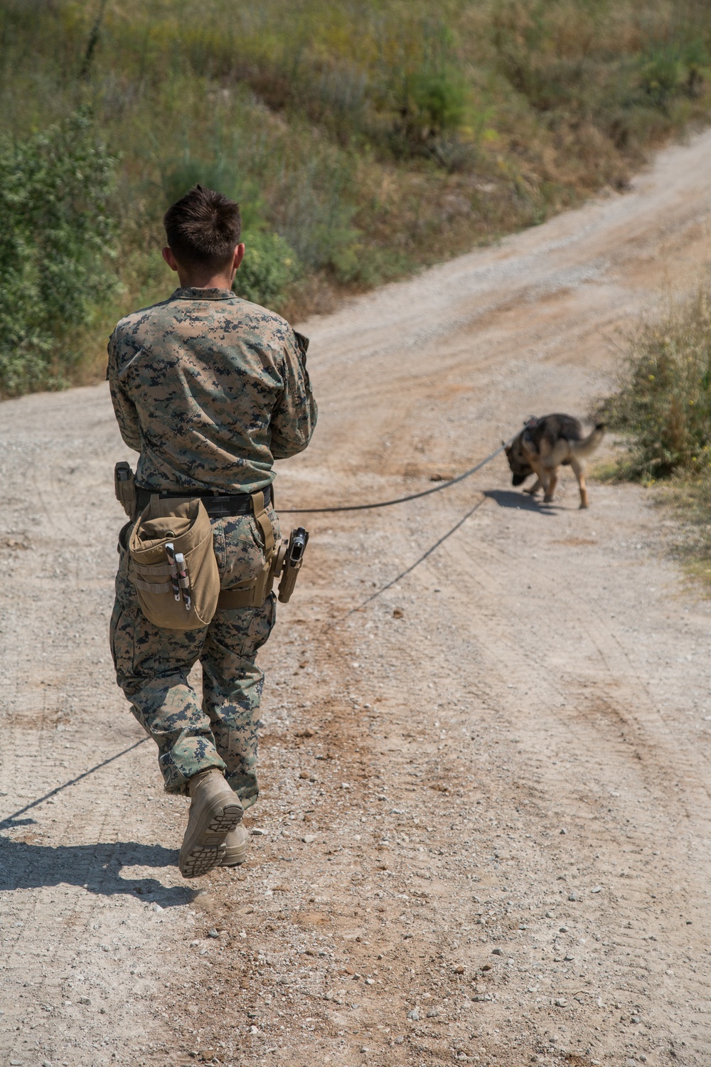 15th MEU Marines conduct EOD training