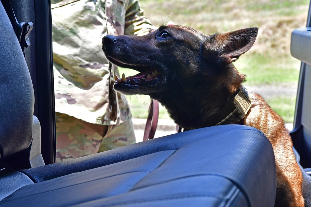 Deter, Detect, and Defeat: MWD training safeguards TLR