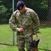 Deter, Detect, and Defeat: MWD training safeguards TLR