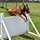 Deter, Detect, and Defeat: MWD training safeguards TLR