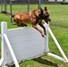 Deter, Detect, and Defeat: MWD training safeguards TLR