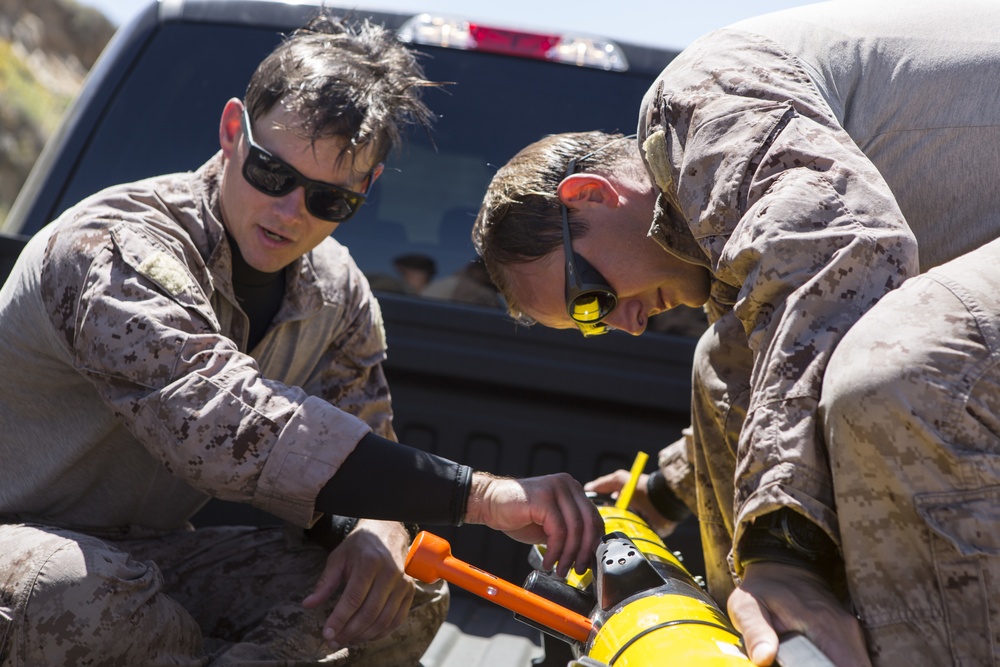 Reconnaissance and Explosive Ordnance Disposal Marines take the beach
