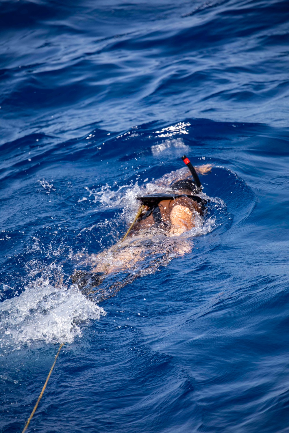 Sailors take part in SAR operations