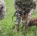 Airmen, canines work paw-in-hand