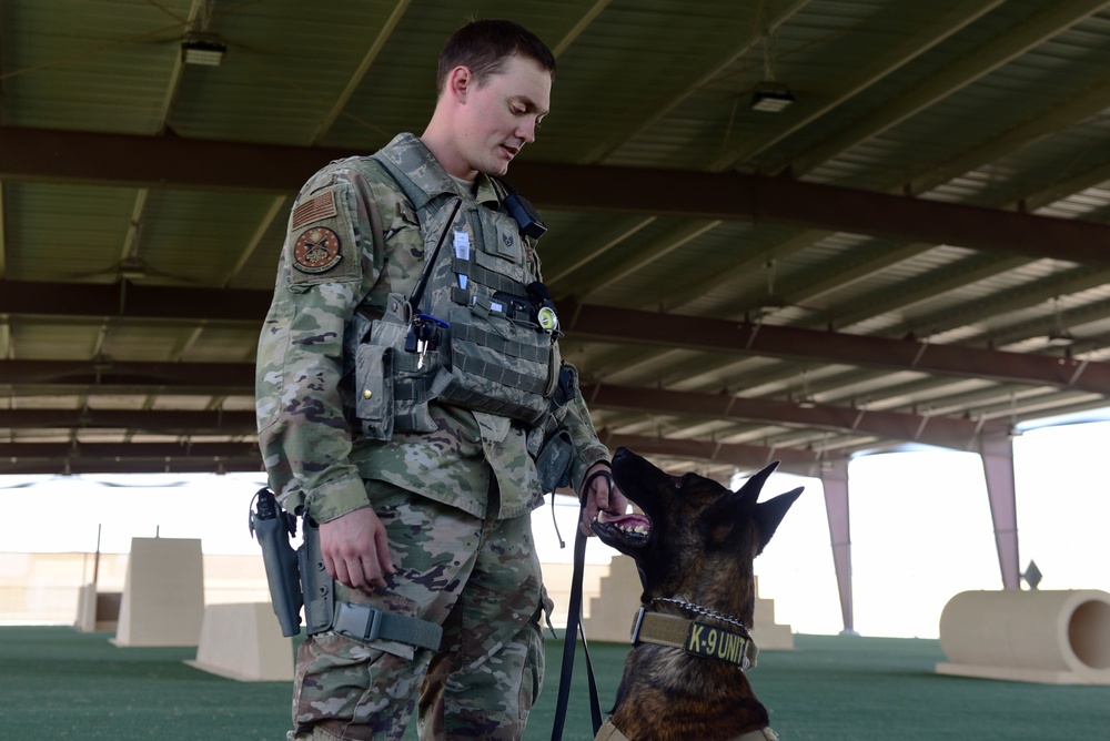 Creech AFB MWD team portrait