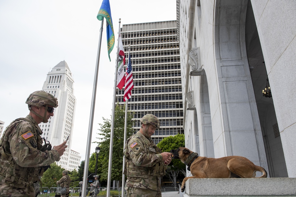Cal Guard supports Los Angeles during activation