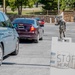 Texan Guardsmen serving during COVID-19