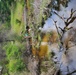 Natural-resources personnel conduct tributary habitat surveys at Fort McCoy
