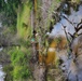 Natural-resources personnel conduct tributary habitat surveys at Fort McCoy