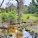 Natural-resources personnel conduct tributary habitat surveys at Fort McCoy