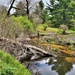 Natural-resources personnel conduct tributary habitat surveys at Fort McCoy