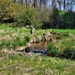 Natural-resources personnel conduct tributary habitat surveys at Fort McCoy