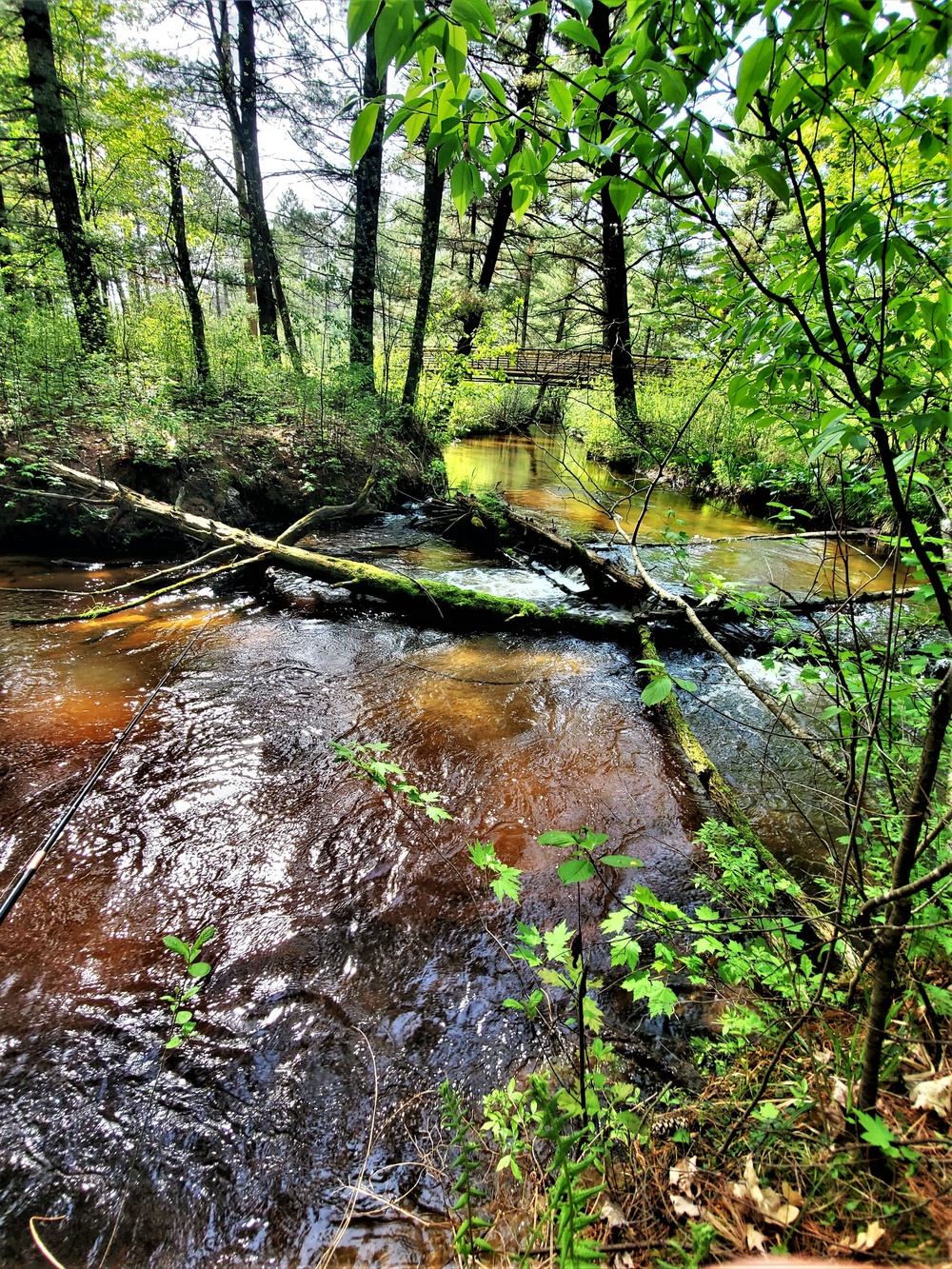 Fort McCoy's Pine View Campground