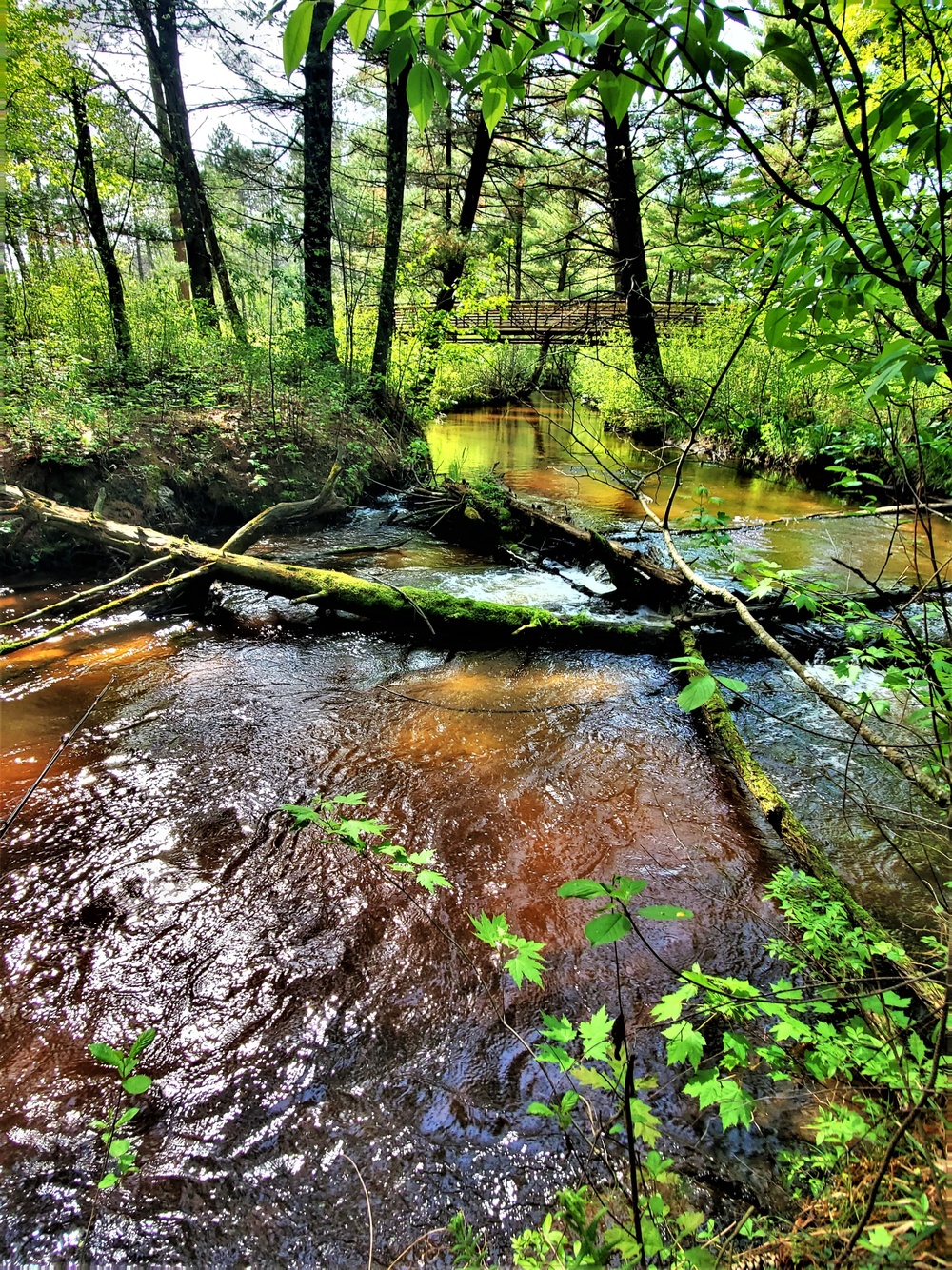 Fort McCoy's Pine View Campground