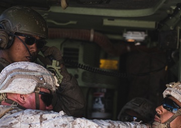 Thundering Third Strikes Range 220