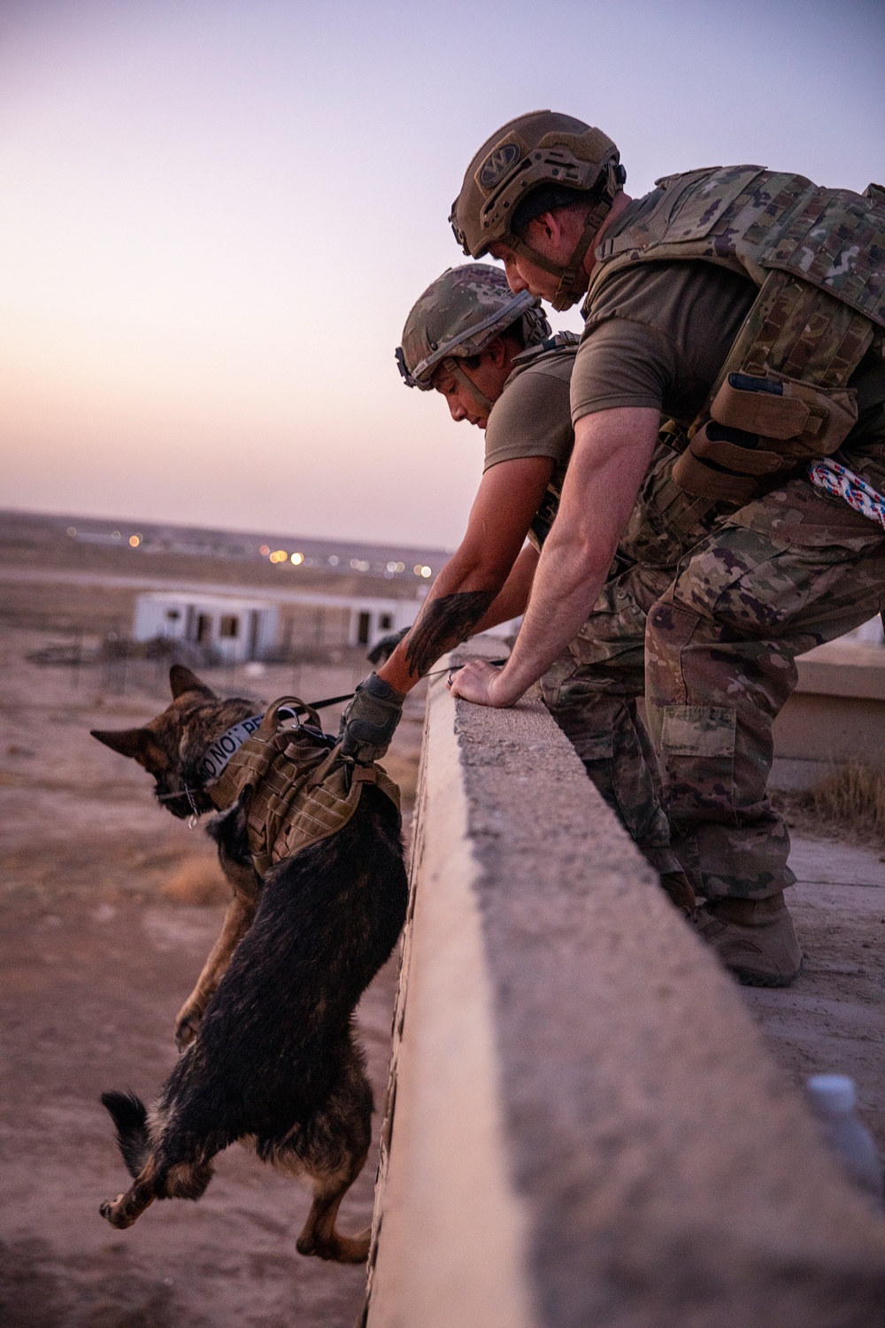 K9 Rappelling Exercise