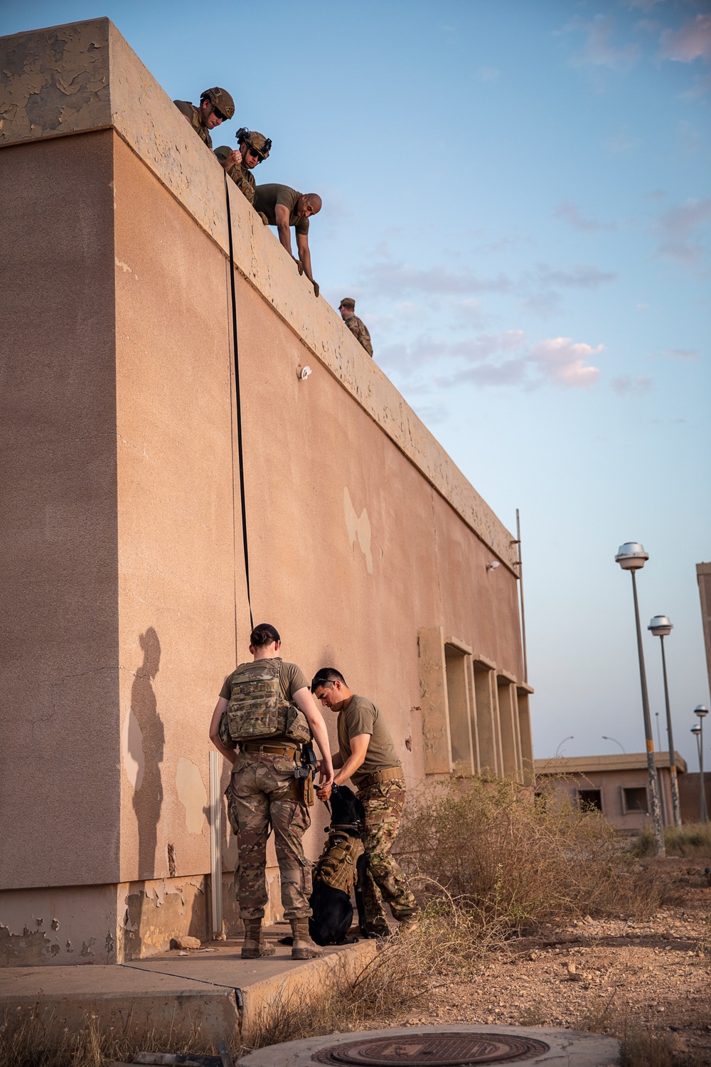 K9 Rappelling Exercise