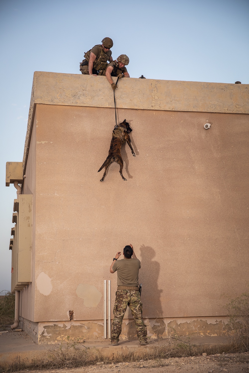 K9 Rappelling Exercise