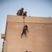 K9 Rappelling Exercise