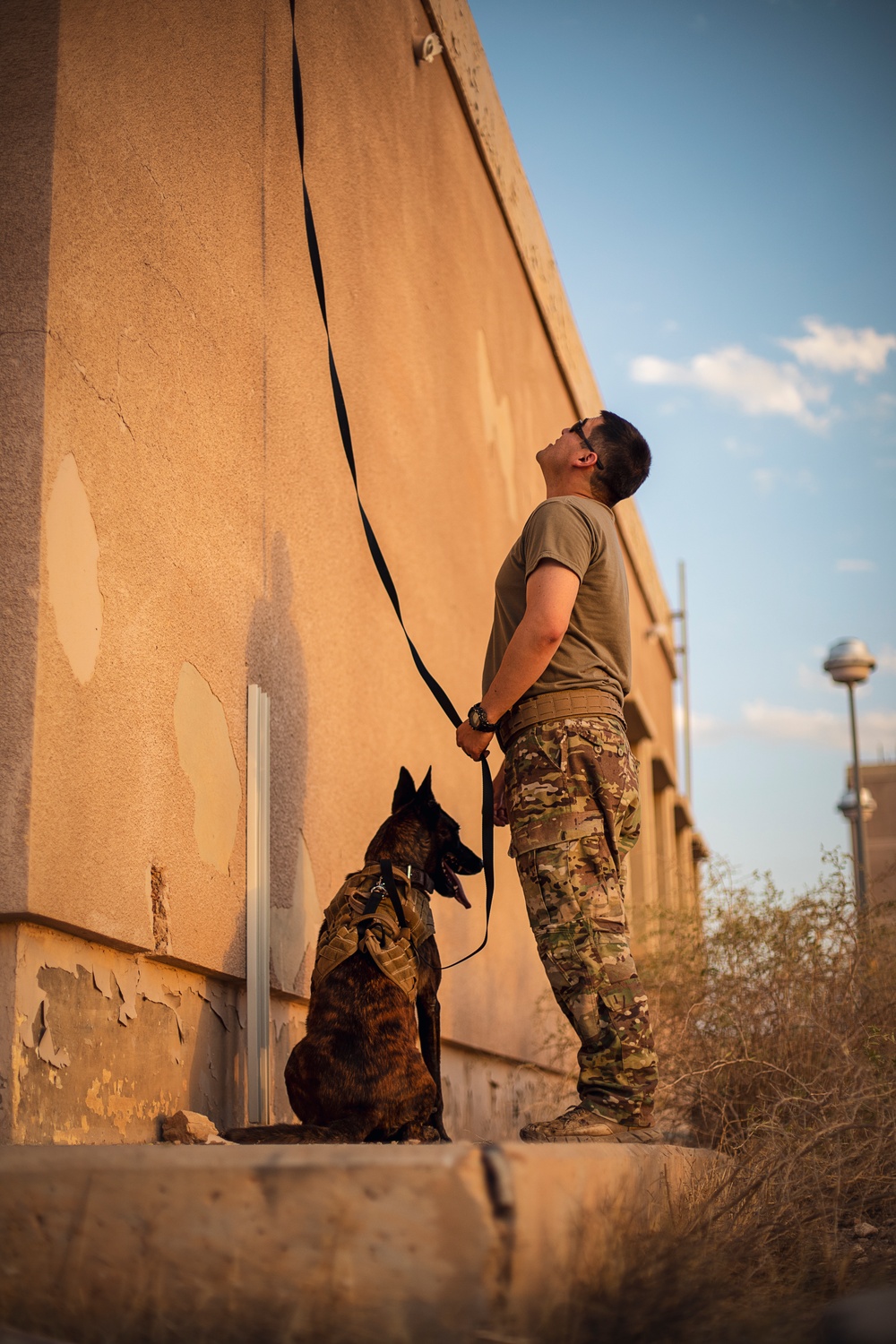 K9 Rappelling Exercise