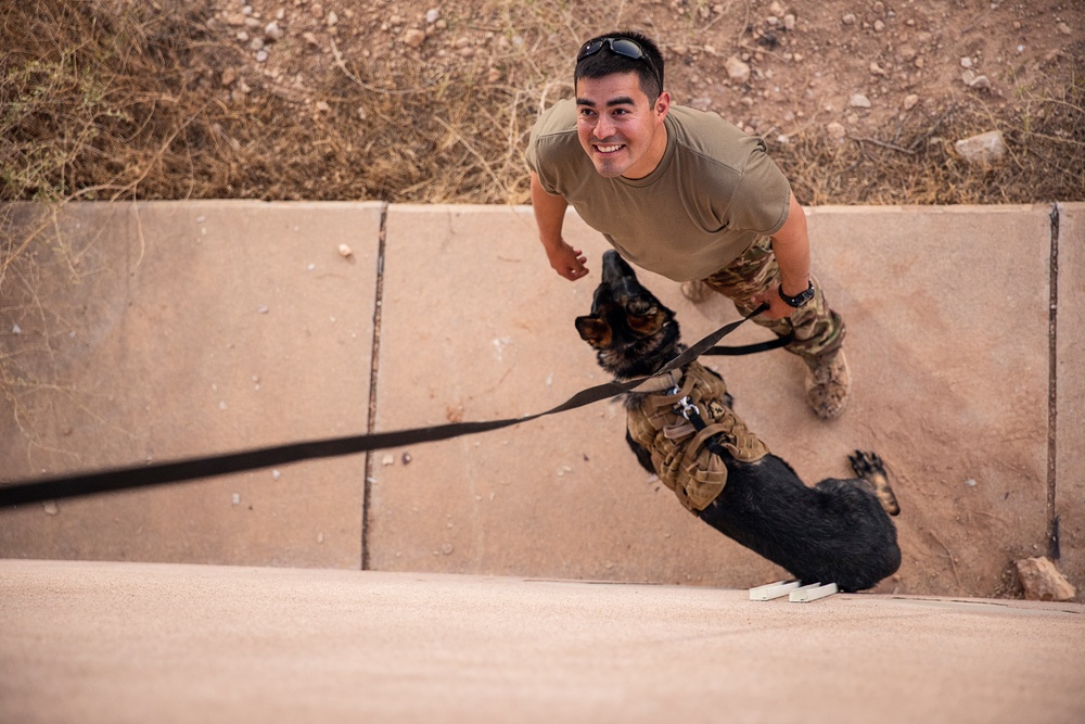 K9 Rappelling Exercise