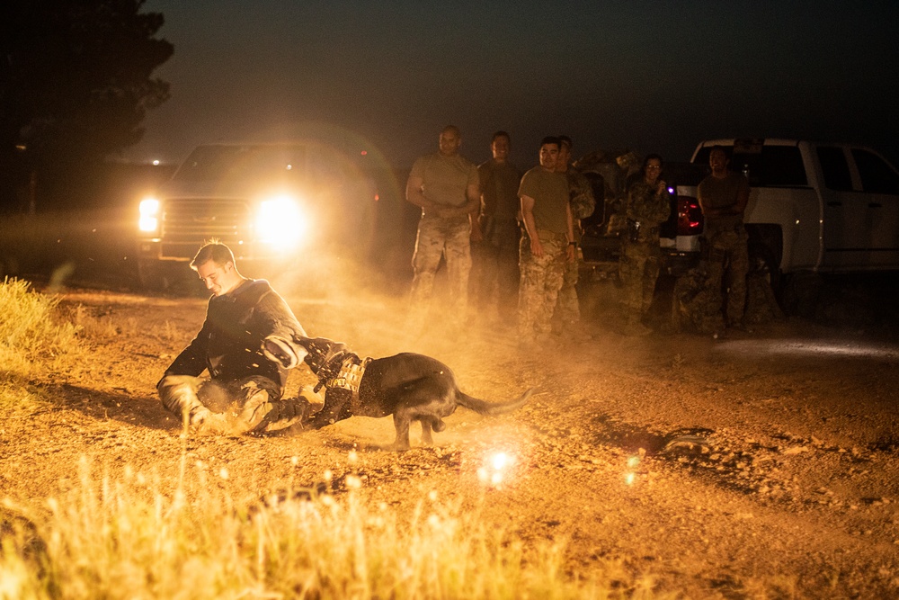 K9 Rappelling Exercise