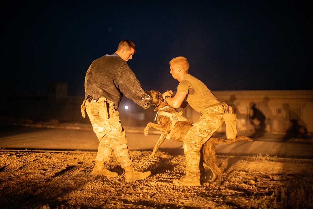 K9 Rappelling Exercise