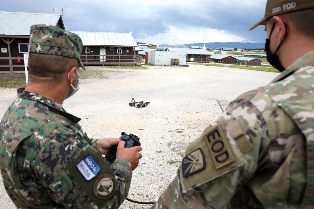 KFOR RC-E U.S. Army EOD trains with RC-W Moldova EOD