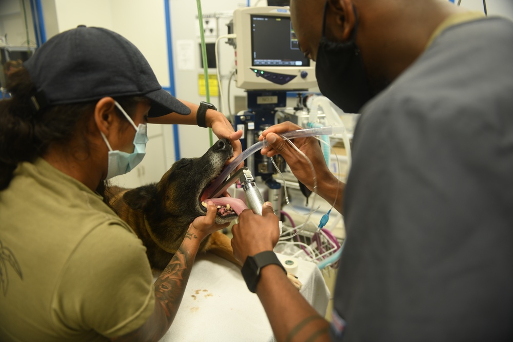 Air Force, Army work together to save a life