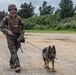 3rd LE Bn, 31st MEU conduct military working dog training exercise