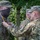 Col. John Broam recognize Soldiers for hard work, excellence