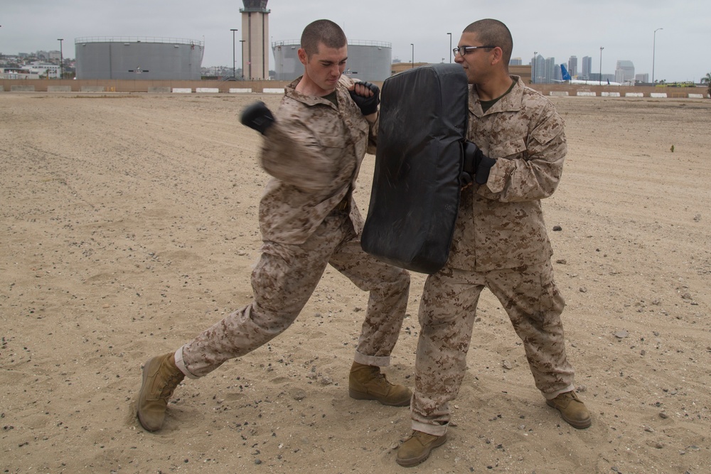 Delta Company Confidence Course