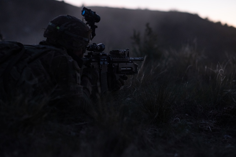 1SBCT Operation Ray Flash, 4-9 IN company live fire