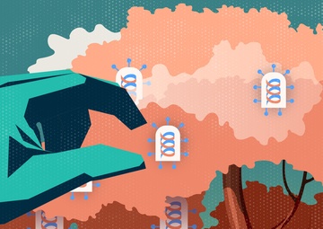 Cultivating the Ebola Vaccine