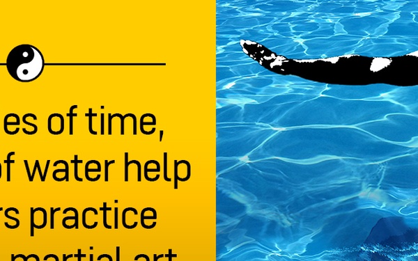 Army Recovery Care Program Ai Chi