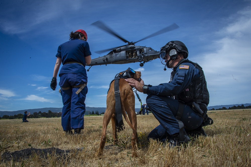 HH-60G Pave Hawk helicopter hoist training