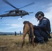 HH-60G Pave Hawk helicopter hoist training