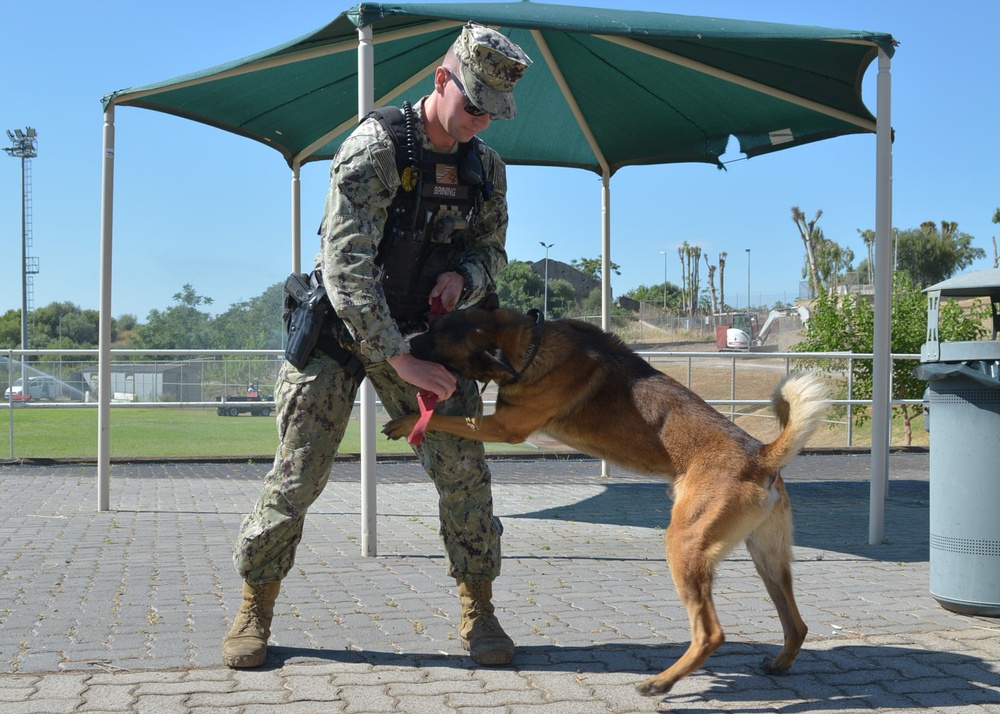 Military Working Dog (MWD) Training