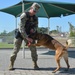 Military Working Dog (MWD) Training