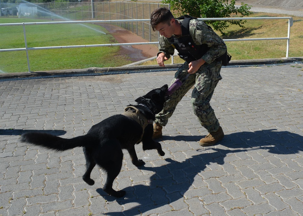 Military Working Dog (MWD) Training