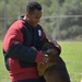 Military Working Dog (MWD) Training