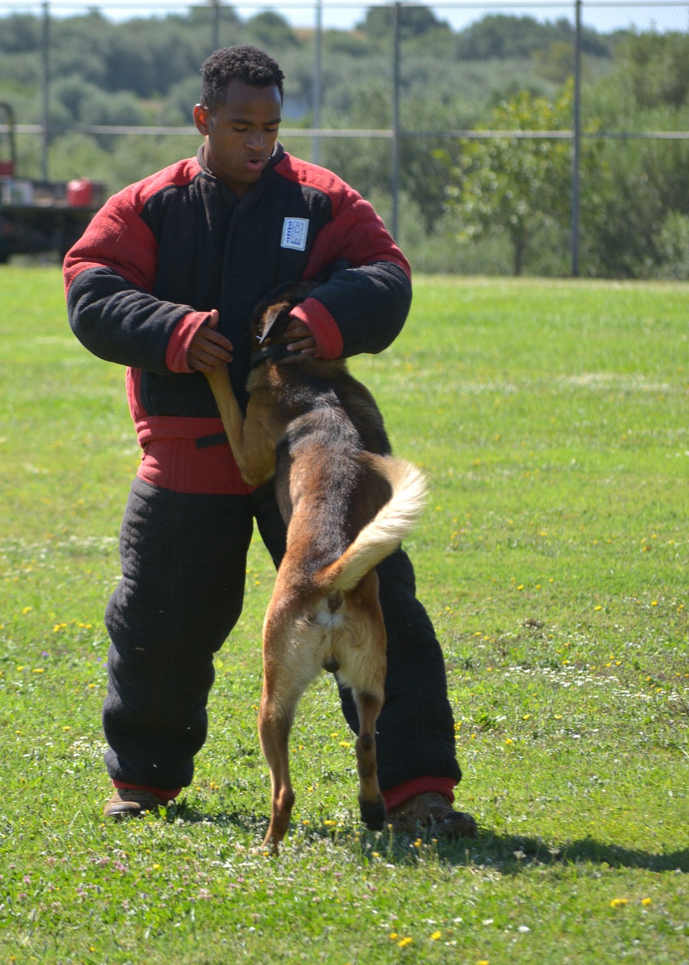 Working dog hot sale trainer