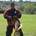 Military Working Dog (MWD) Training