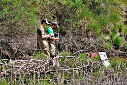 Watershed management biologists conduct stream habitat survey at Fort McCoy