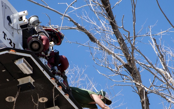 DPG Young Owl Rescue