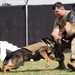 KFOR K9s demonstrate biting, scouting, other capabilities